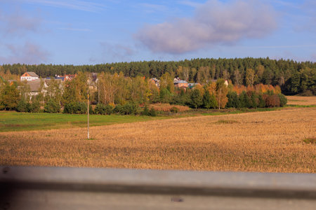 Road shoulder on a sunny autumn day. Views of the landscape from the car window.の写真素材