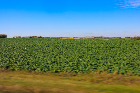 Road shoulder on a sunny autumn day. Views of the landscape from the car window.の写真素材