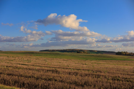 Road shoulder on a sunny autumn day. Views of the landscape from the car window.の写真素材