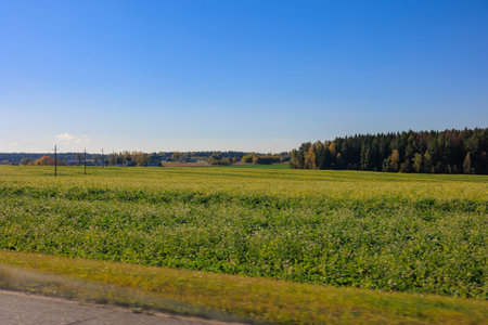 Views of the landscape.の写真素材