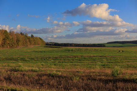 Road shoulder on a sunny autumn day. Views of the landscape from the car window.の写真素材
