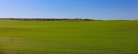 Views of the landscape on a sunny autumn day.の写真素材