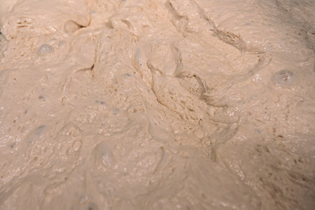 White flour dough, baking preparation, dough textureの写真素材