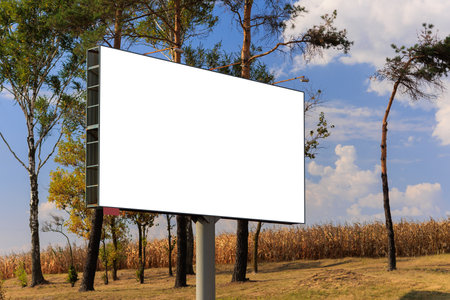 Background for design, white billboards on along roads in the summer dayの写真素材