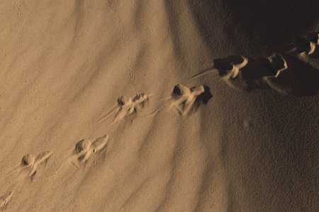 Texture of sand and earth, sand dunes and mountains