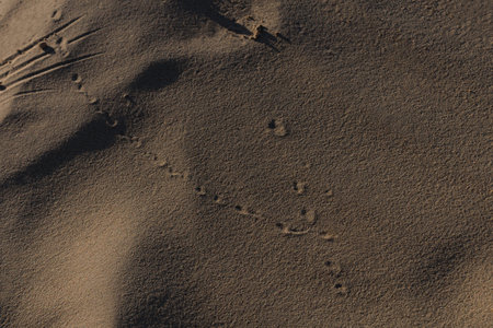 Texture of sand and earth, sand dunes and mountains
