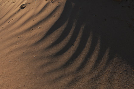 Texture of sand and earth, sand dunes and mountainsの写真素材