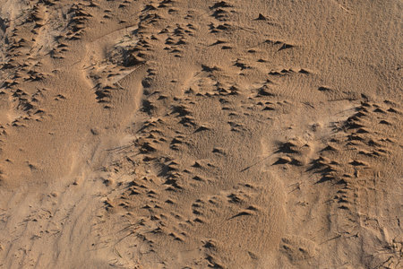 Texture of sand and earth, sand dunes and mountains