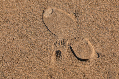 Texture of sand and earth, traces of human feet and shoesの写真素材