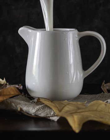 Jug of white milk accompanied by cinnamon cookies on dark backgroundの写真素材