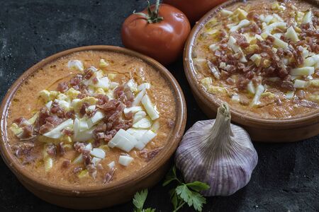 Salmorejo typical Spanish food served in clay bowlの写真素材