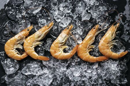 Five prawns on a bed of ice and dark backgroundの写真素材
