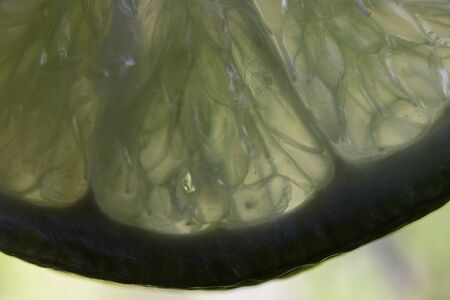Macro of a lemon slice Ripe lemon in the sunの写真素材