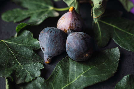 Figs on banyan tree leaves and dark backgroundの写真素材