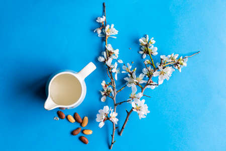 Branches of almond tree with jug of milk and almonds on blue backgroundの写真素材