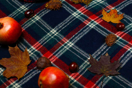 Defocus cozy autumn fall background with red checkered scarf Maple leaves, chestnut, Garnet, pomegranate. Layout. Top view. Mock up Out of focusの写真素材