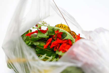 DEFOCUS. Environment and plastic. Red and green plants flowers in a plastic bag on a white background. Ecological problems. Out of focus.の写真素材