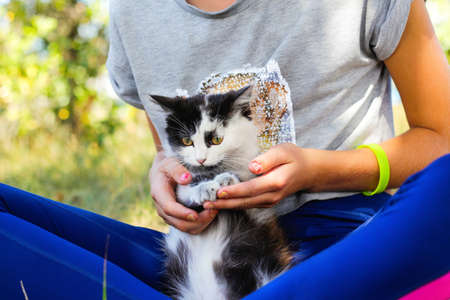 Defocus girl playing with cat, black and white small kitten. Nature green summer background. Girl stroking pet. Love animals concept. Pose lotus. Out of focus.の写真素材