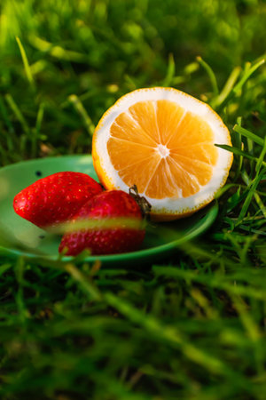 Defocus close-up saucer with lemon and two strawberry standing on deep green grass. Blurred nature background. Bright summer fruits outside, outdoor. Sunshine. Vitamin c. Out of focusの写真素材