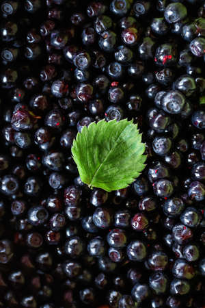 Close-up textured freshly picked blueberries. Natural background. Dark violet and purple color....