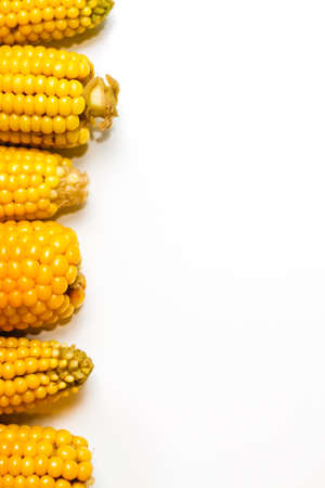 Boiled yellow sweet corn on a white background. Texture. Creative food. Swings of corn. Whole and portions of corn. Ecological food concept. Selective focus.の写真素材