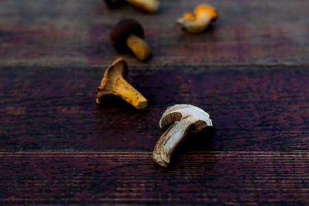 Close up section of dried various mushrooms. Chanterelles. Dark red aged wood background. Autumn...
