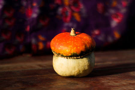 Close-up turban squash, cucurbit. Turkish pumpkin with a turban. An interesting type of pumpkin. Harvest concept. Organic vegetable. Selective focus.の写真素材