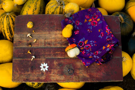 Autumn frame Composition and layout made of colorful pumpkins, eggplant, purple flower textile, mushrooms, seeds Aged vintage old retro red background. Harvest festival concept Selective focus.の写真素材