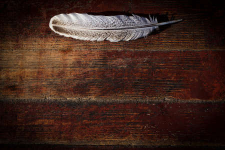 A quill pen rests on top of an aged wooden background. Writing concept. Blank for the designer. Vignette, frame. Selective focus.の写真素材