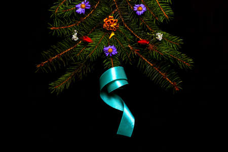 Close-up turquoise ribbon on Xmas tree shape made of snowy fir branch with different flowers. composition, flat lay, view from above Winter spruce concept Horizontal Black background. Selective focus.の写真素材