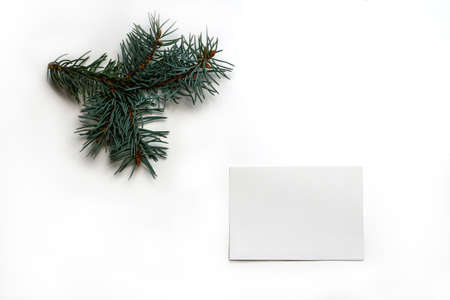 White Christmas rectangular card on a white background. Christmas preparation. Spruce, pine branch to the left of the card. Mock-up for design. Selective focus.の写真素材