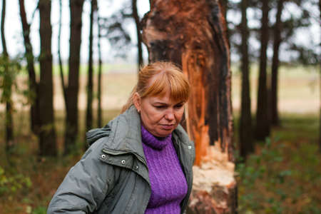 Defocus side view of two woman walking in pine forest and seating on log trunk. Leisure and people concept, mother and daughter walking in fall forest. People lost. Overall Vertical. Out of focus.の写真素材