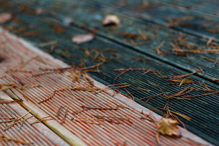 Defocus wooden brown and black textured background with fallen pine needle and dry leaves. Autumn abstract background. Forest outdoor. Diagonal, close-up. Out of focus.の写真素材