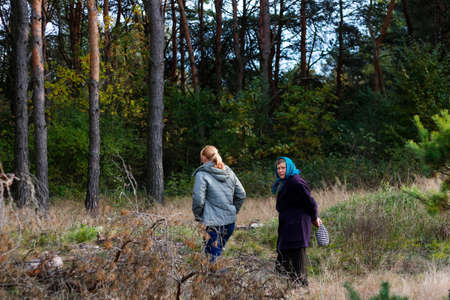 Defocus side view of two woman walking in pine forest and seating on log trunk. Leisure and people concept, mother and daughter walking in fall forest. People lost. Overall Vertical. Out of focus.の写真素材