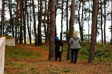 Defocus side view of two woman walking in pine forest and seating on log trunk. Leisure and people concept, mother and daughter walking in fall forest. People lost. Overall Vertical. Out of focus.の写真素材
