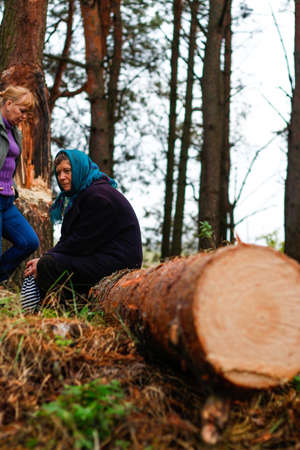 Defocus side view of two woman walking in pine forest and seating on log trunk. Leisure and people...