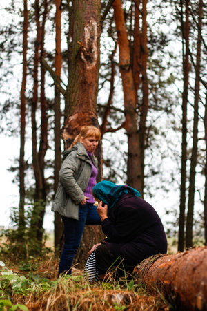 Defocus side view of two woman walking in pine forest and seating on log trunk. Leisure and people...