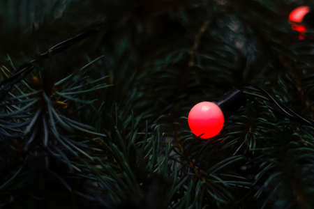 Defocus close-up fir tree branches with glowing one red Christmas light as background. Christmas tree dark background. Copy space. Out of focus.の写真素材