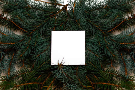 Defocus blank white card on natural christmas background. Creative layout made of Christmas tree branches with paper card note. Decorative festive frame. Out of focus.の写真素材