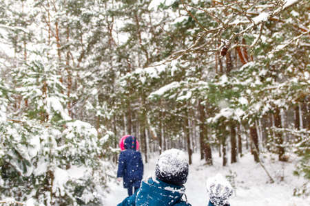 The boy swinging a snowball with a girl. Funny children in Winter forest playing snowballs, time outdoors. Winter snowy woodland. Cold frost weather. Tween. Sibling. Winter kids game. Raising hand.の写真素材
