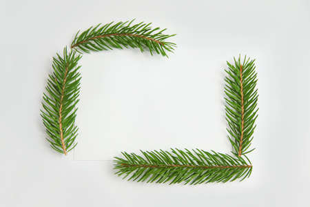 Frame of fir branch or spruce branch with needles isolated on white background. Green natural fir tree branches. Border. Copy space. Christmas concept. Template for design. White sheet of paper.の写真素材