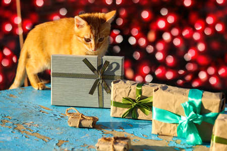 Ginger cat with wrapped craft vintage gift boxes on blue, turquoise, old wooden background. Present box in craft paper with green bow with shadow. Holiday concept. Red bokeh sparkle backgroundの写真素材