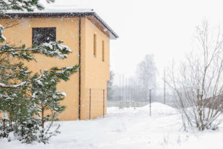 Winter house in nature forest snow panoramic. Spruce or fir tree in the snow against the house on the Christmas and New Year. Yellow cottage in snowy weather. Abstract background.の写真素材