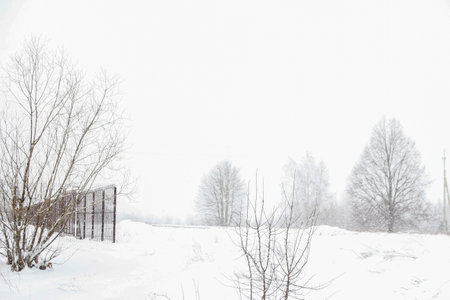 Minimalistic landscape in snowy winter season. Frosty winter morning. Cold weather background concept. Mysterious winter scene: dark trees silhouettes in the background. Minimal snowscapeの写真素材