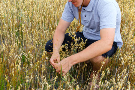 Fumigating pests, pest control. Defocus farmer man spraying tree with manual pesticide sprayer...