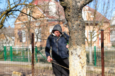 Crop and harvest. Portrait of farmer standing in gold wheat field with blue sky in background. Young man wearing sunglasses and cowboy hat in a field examining wheat crop. Oats grain production.の写真素材