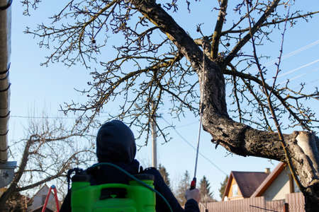 Crop and harvest. Portrait of farmer standing in gold wheat field with blue sky in background. Young man wearing sunglasses and cowboy hat in a field examining wheat crop. Oats grain production.の写真素材