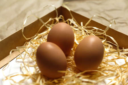 Close up three eggs. Easter craft box with brown eggs on eco background. Chicken eggs on craft table...