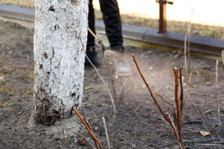 Fumigating pesti, pest control. Farmer man spraying tree with manual pesticide sprayer against...