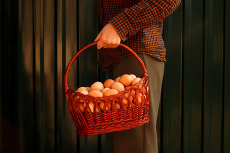 Many eggs in basket. Young female farmer holding whole basket of brown organic eggs on modern green background. Poultry farm. Eco product. Agriculture. Fresh egg. Import. Export. Lifestyle.の写真素材